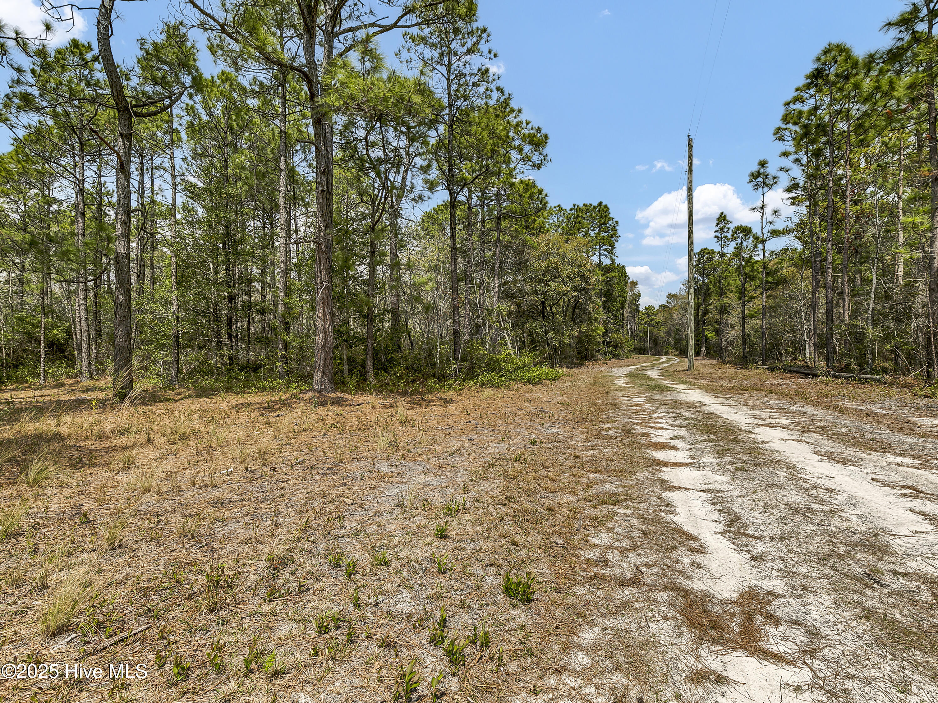00 Old Whitfield Road Property Photo 3