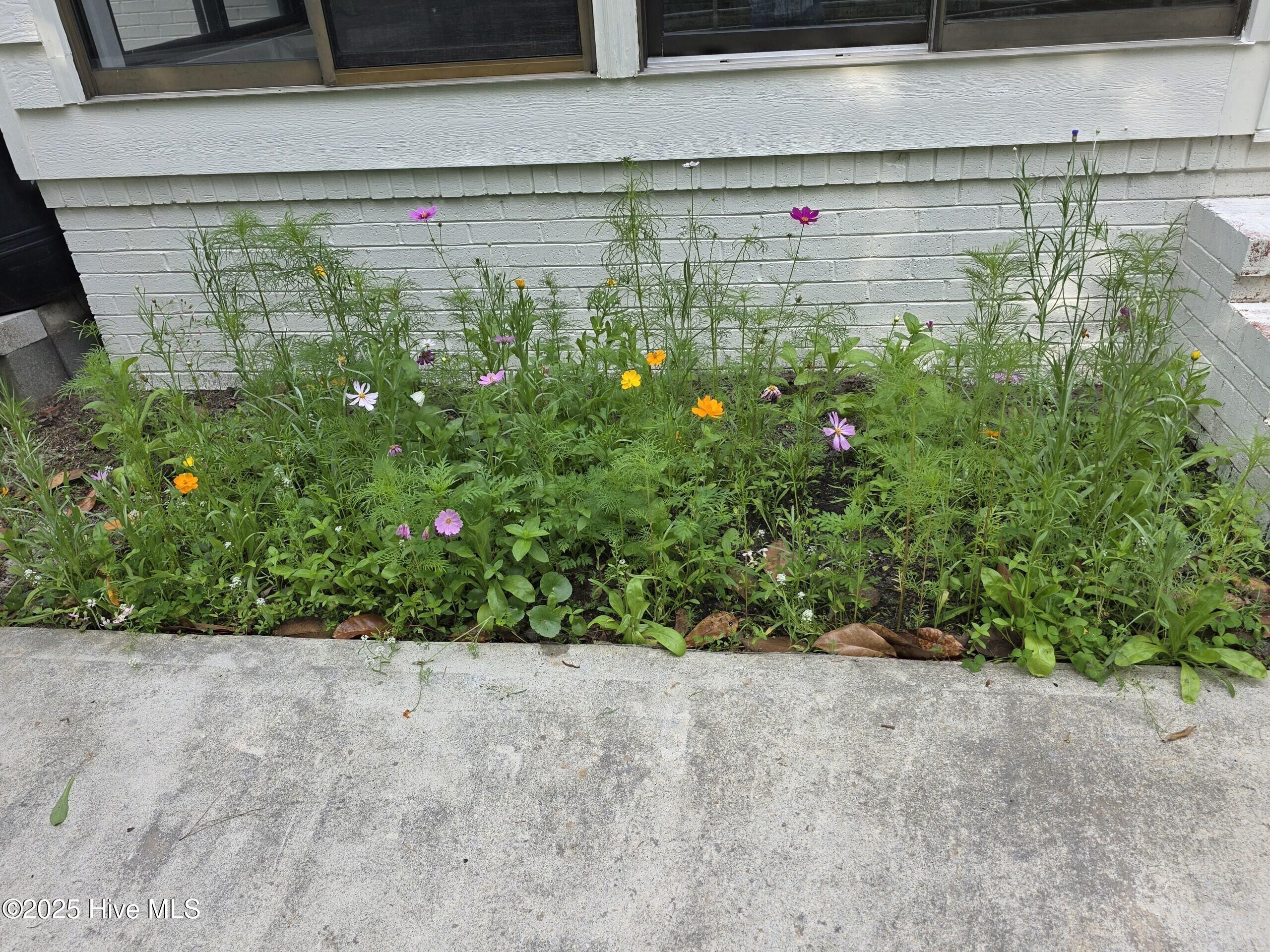 709 Saw Grass Road Property Photo 41