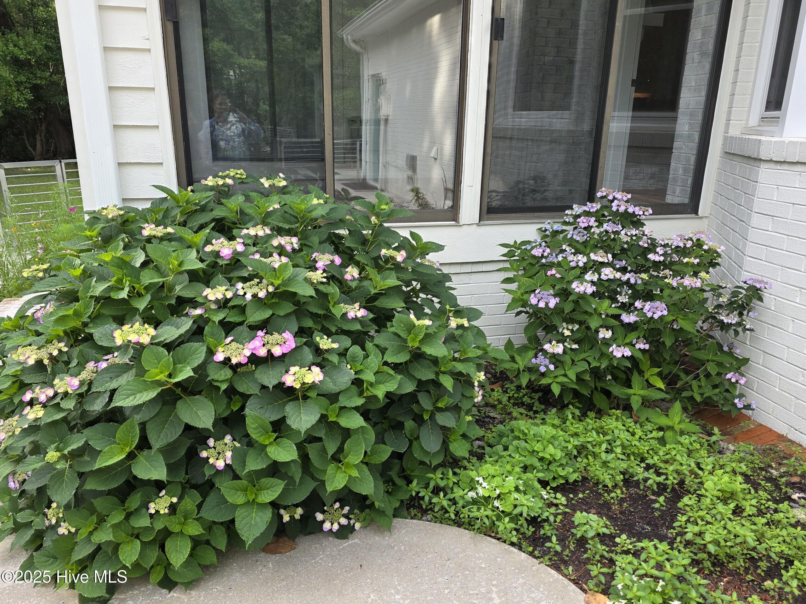 709 Saw Grass Road Property Photo 42