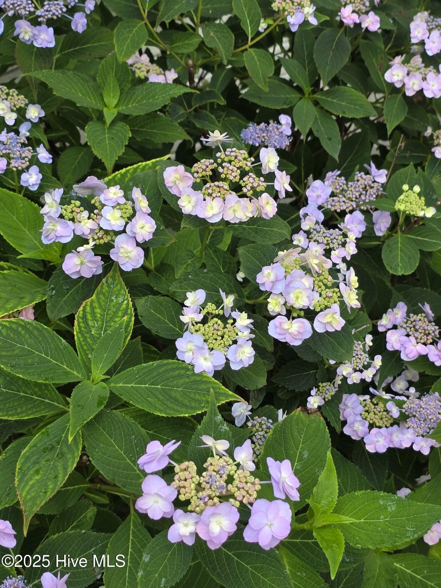 709 Saw Grass Road Property Photo 43