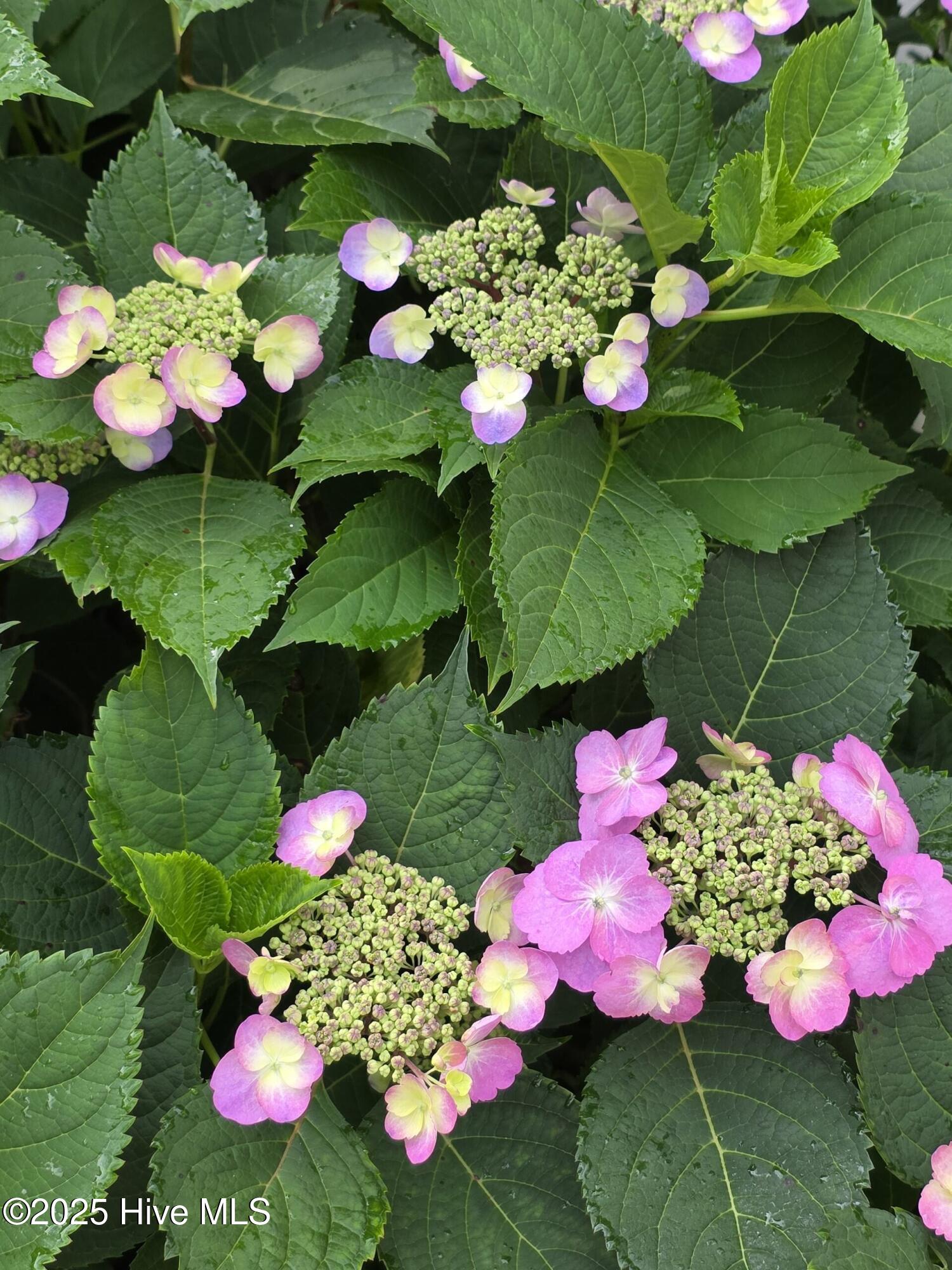 709 Saw Grass Road Property Photo 44