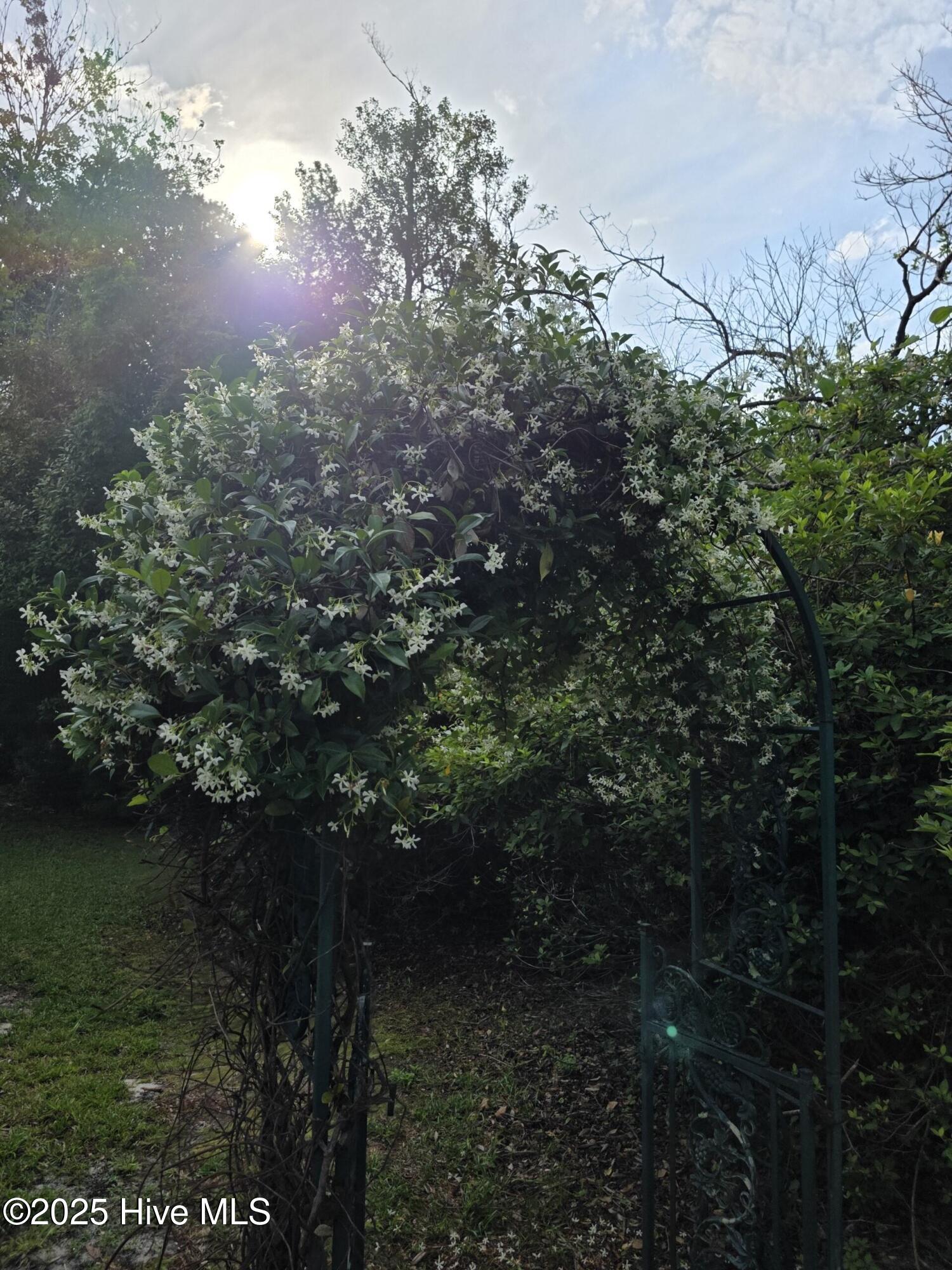 709 Saw Grass Road Property Photo 45