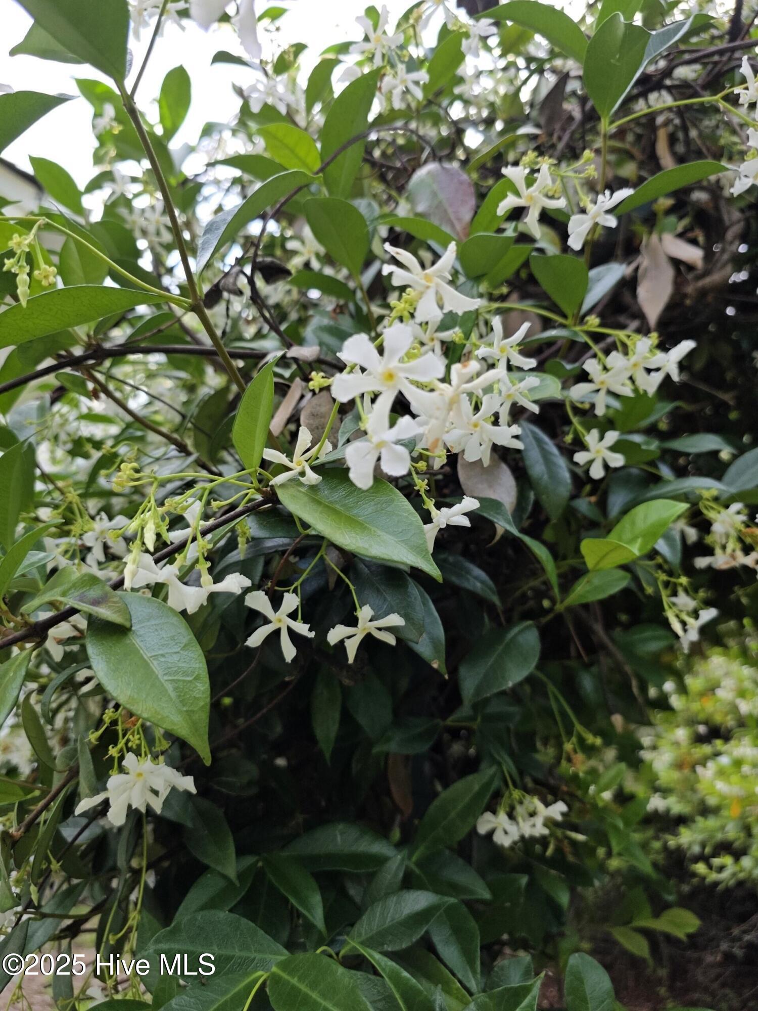 709 Saw Grass Road Property Photo 46