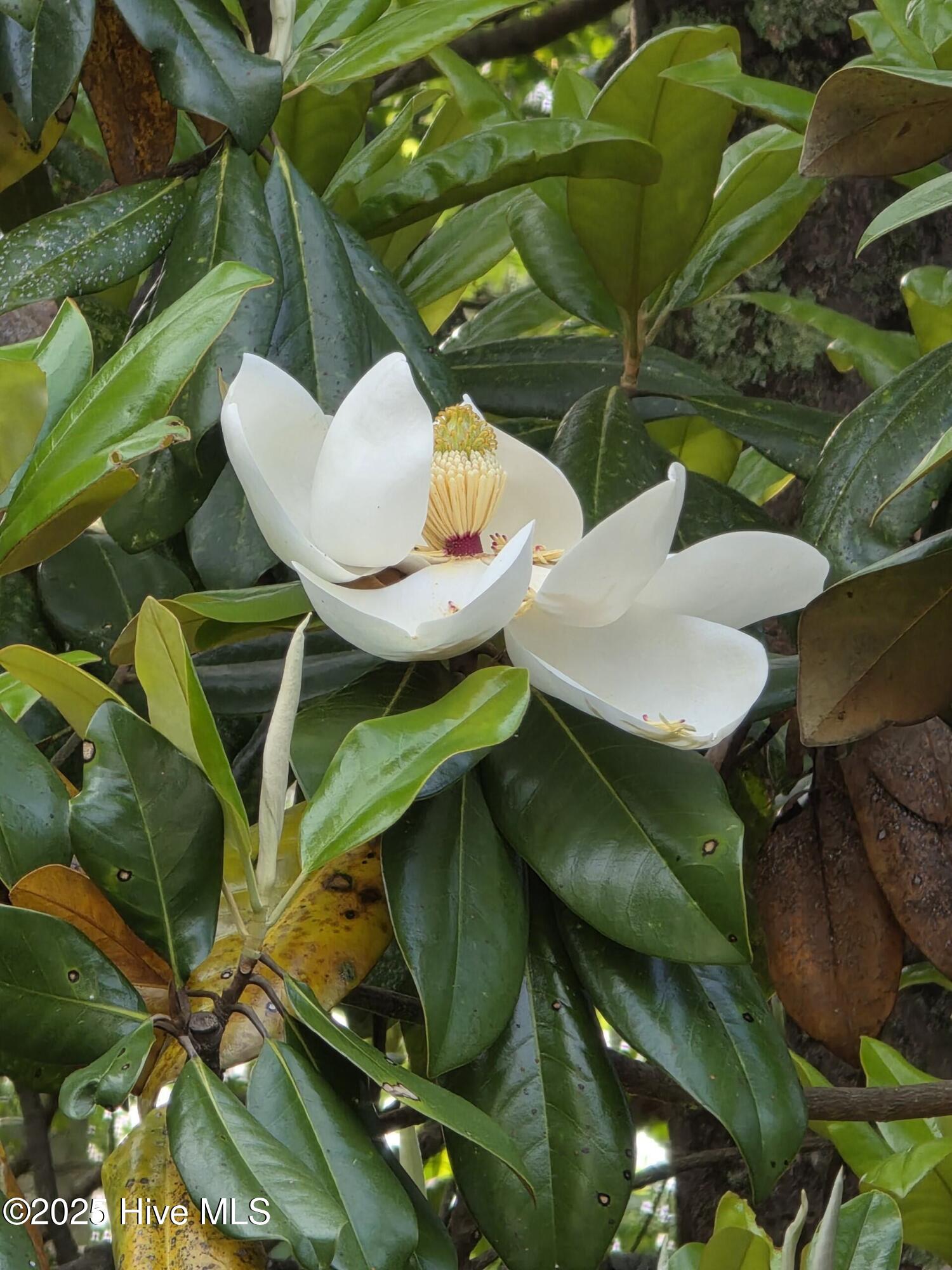 709 Saw Grass Road Property Photo 47