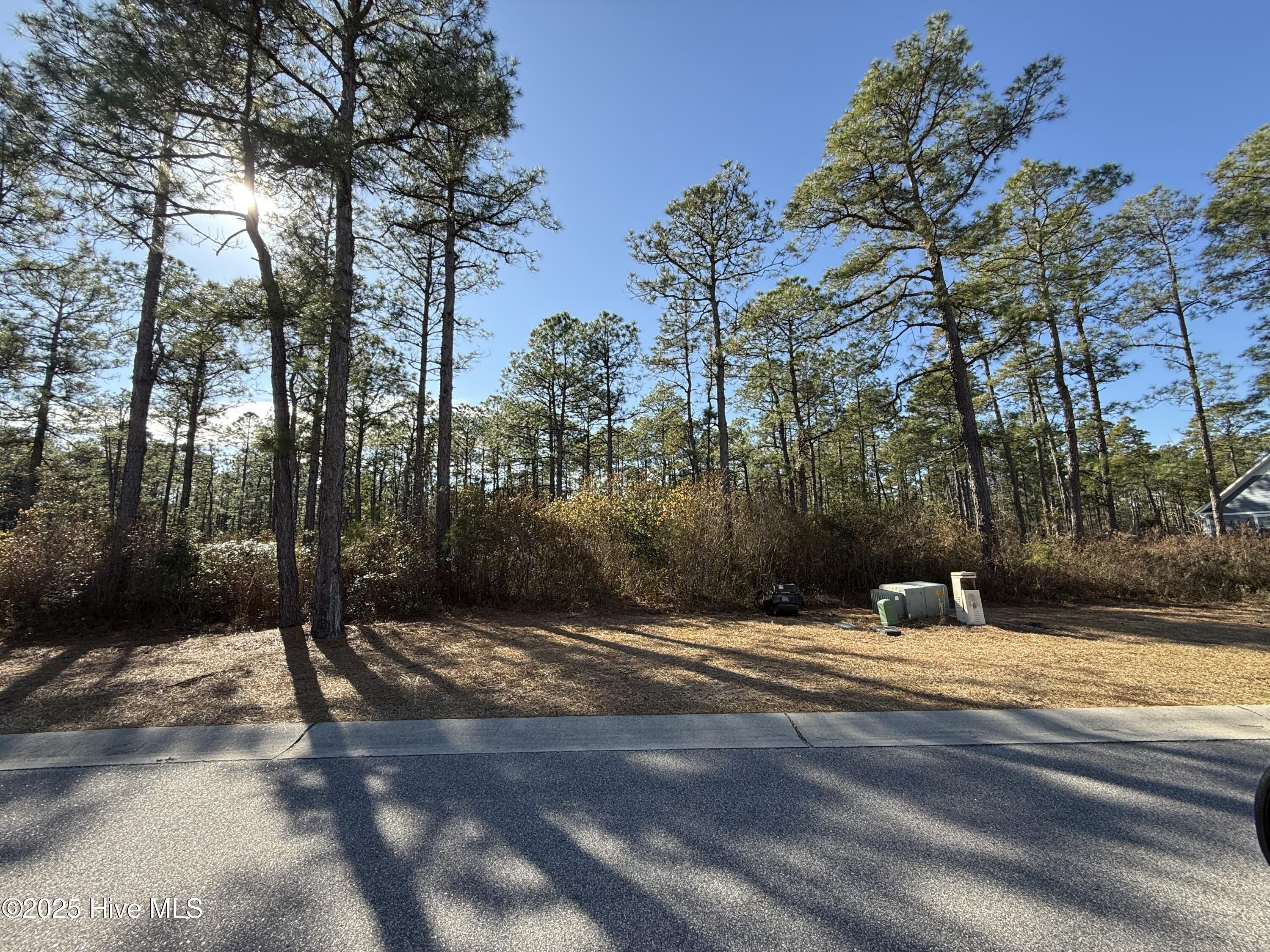3720 Friendly Orange Court Property Photo 1