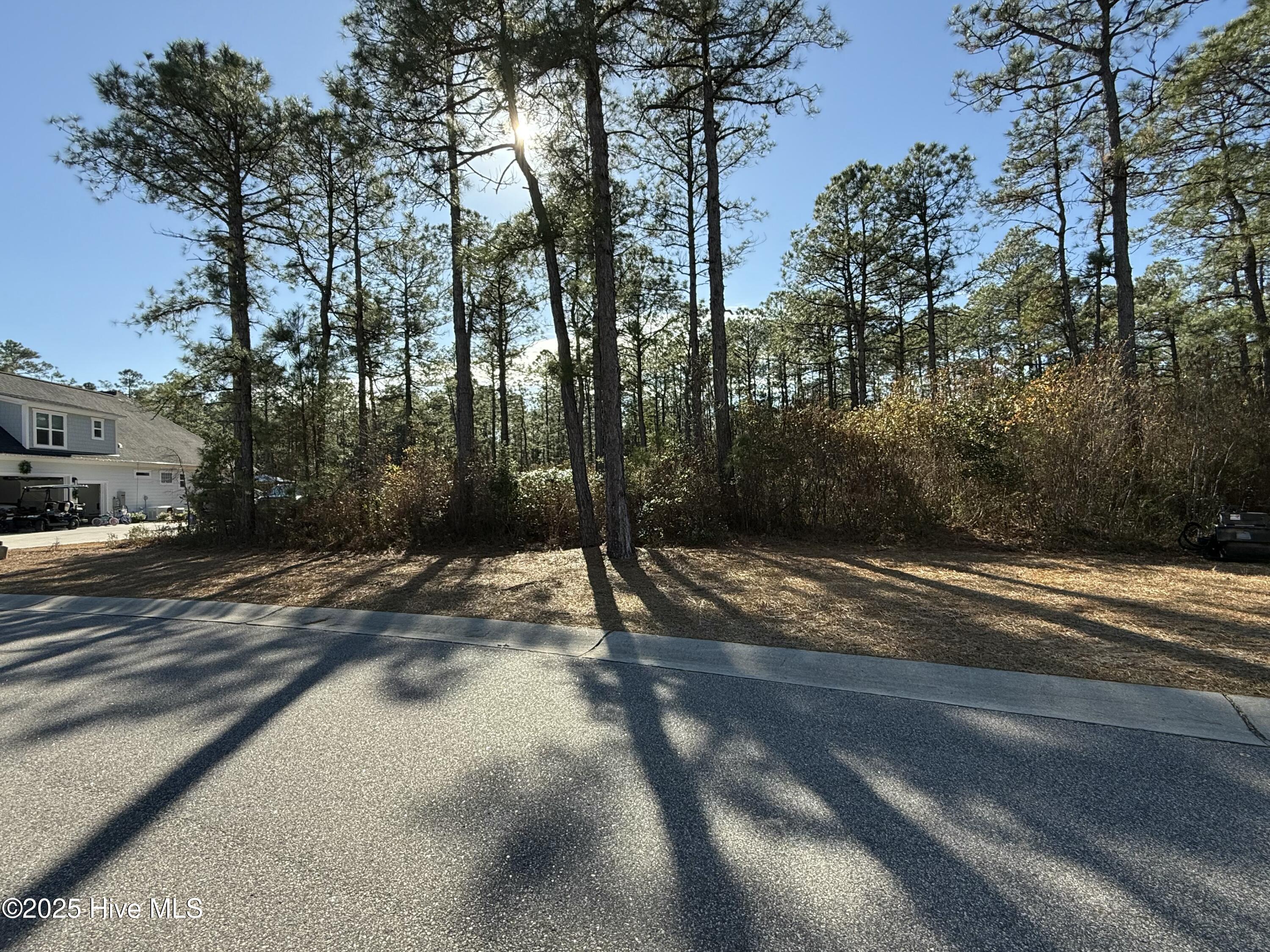 3720 Friendly Orange Court Property Photo 2