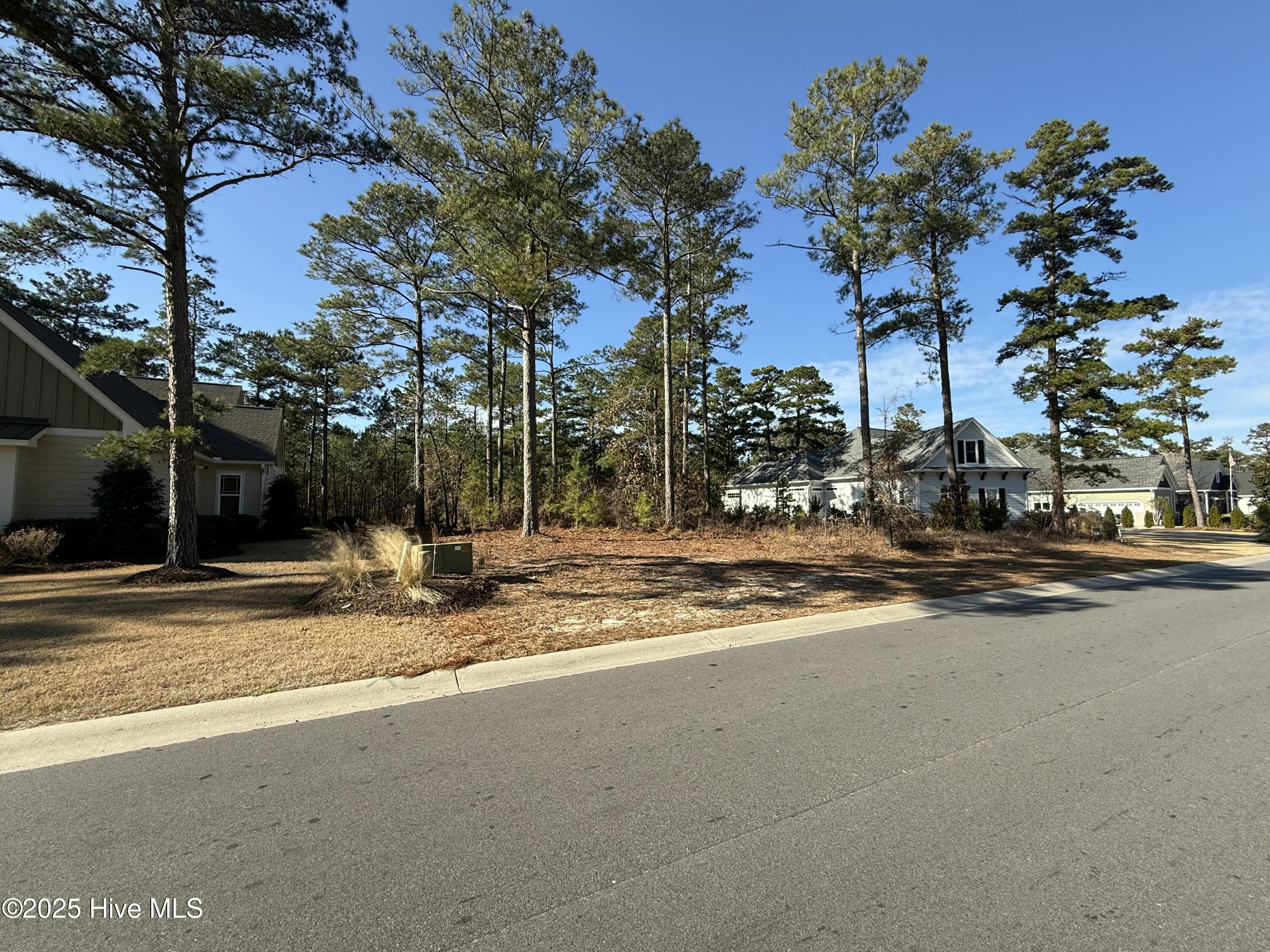 9402 Fallen Pear Lane Property Photo 6
