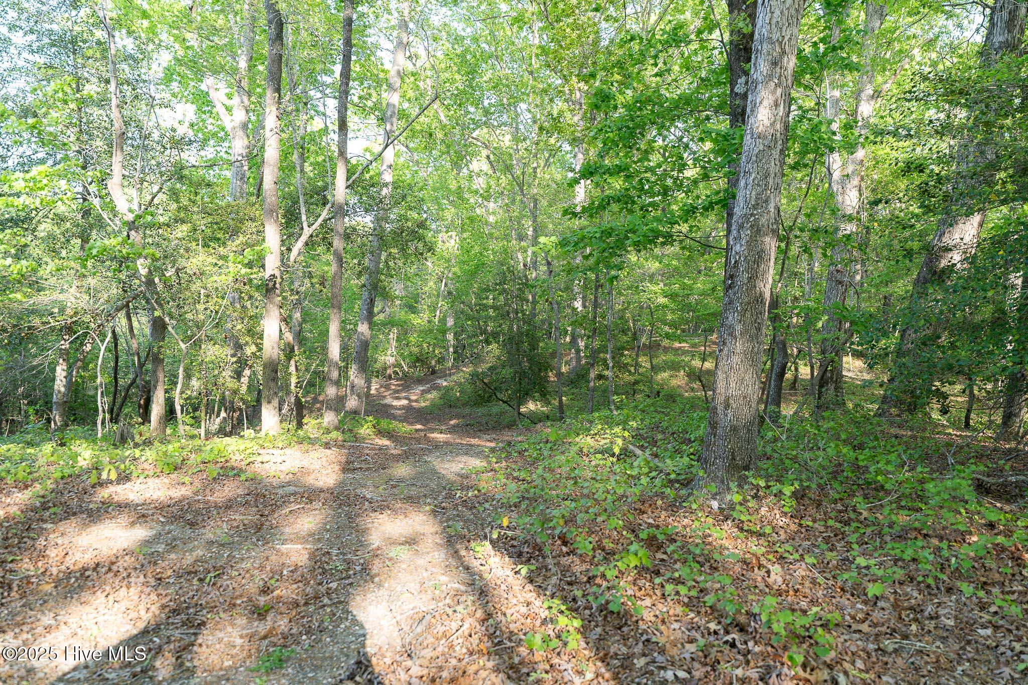 104 Bridle Path Lane Property Photo 16