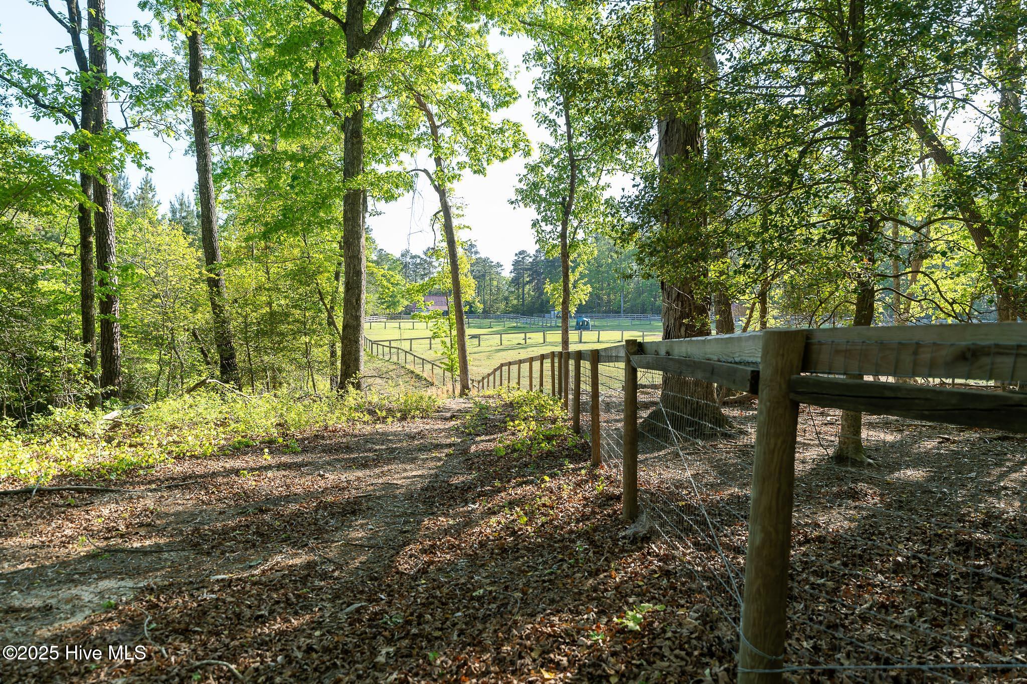 104 Bridle Path Lane Property Photo 18