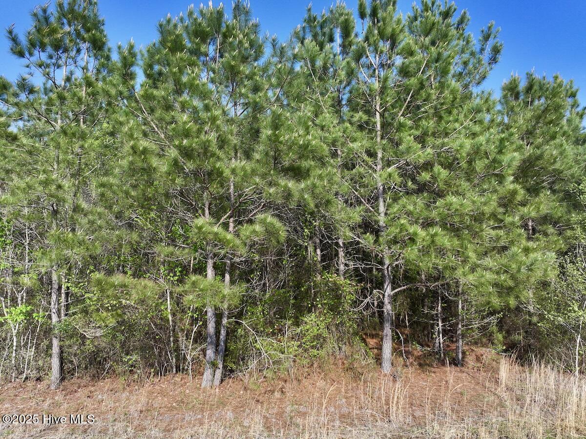 0 Nc 33 E Property Photo 15