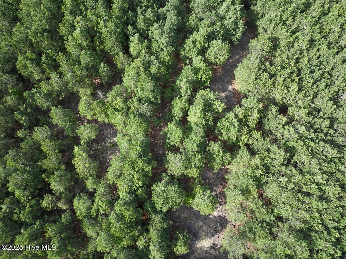 0 Nc 33 E Property Photo 17