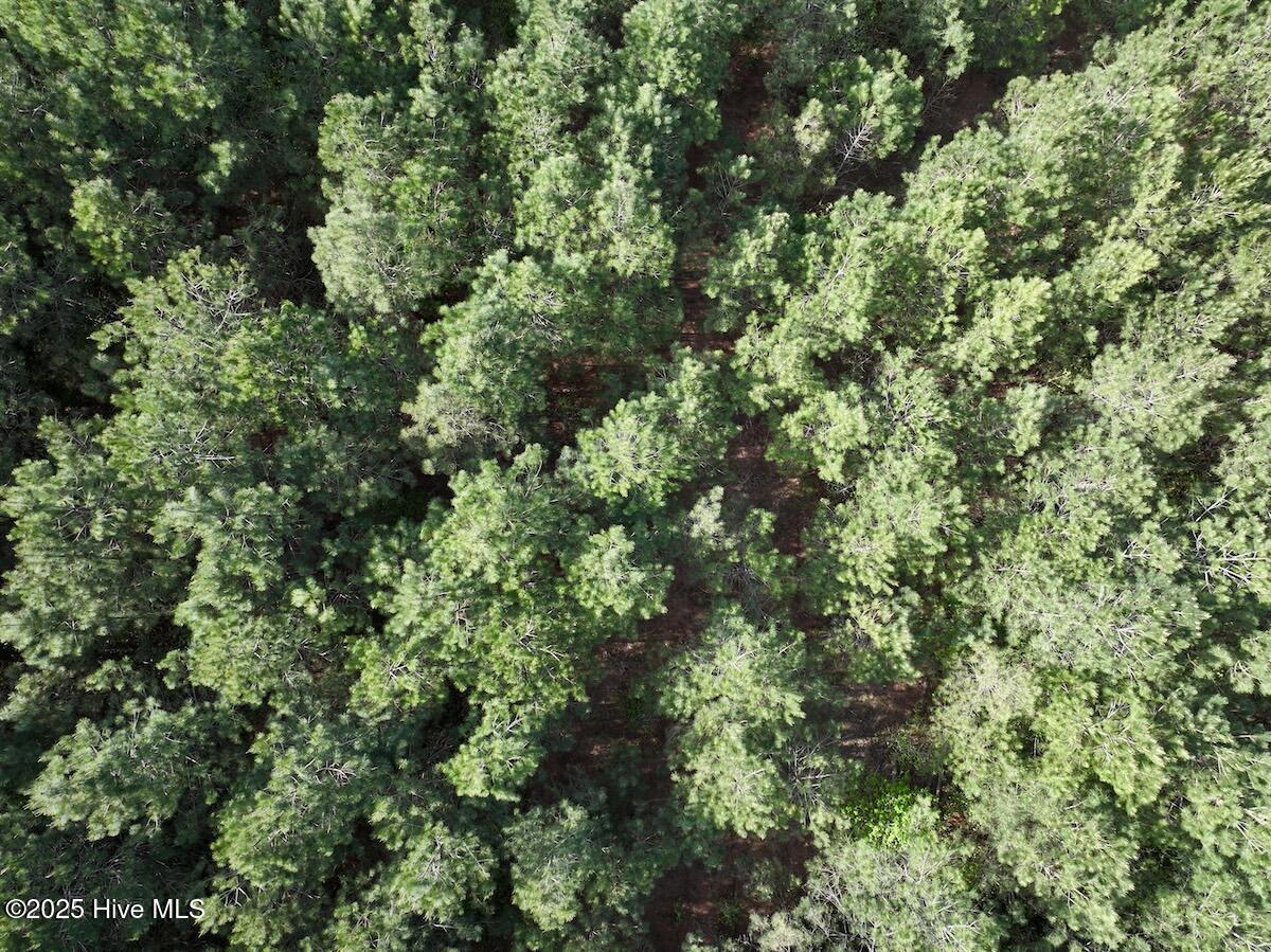0 Nc 33 E Property Photo 23