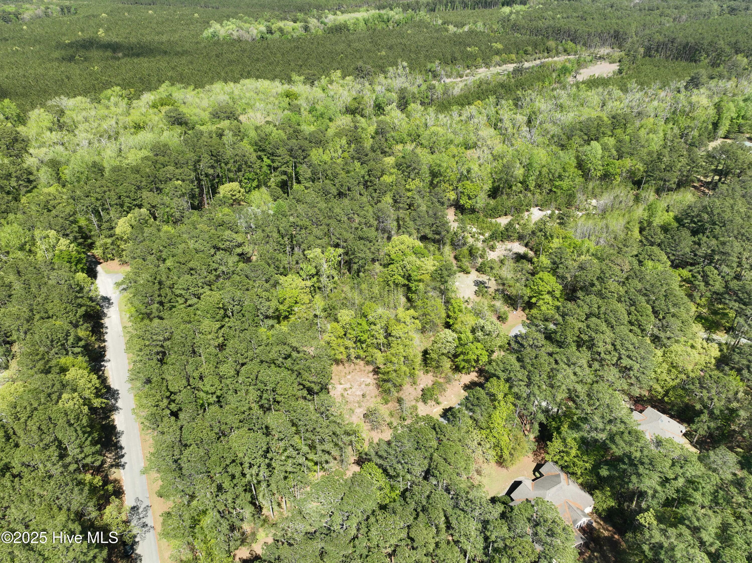 607 Pamlico River Drive Property Photo 3