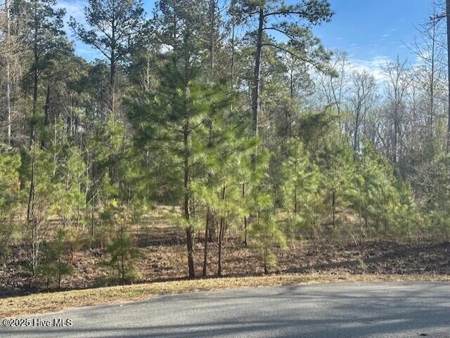 607 Pamlico River Drive Property Photo 4