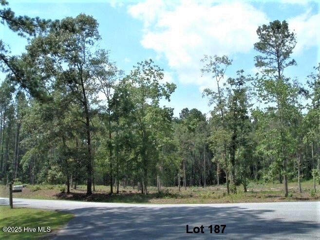 607 Pamlico River Drive Property Photo 5