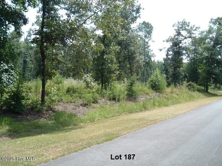 607 Pamlico River Drive Property Photo 6