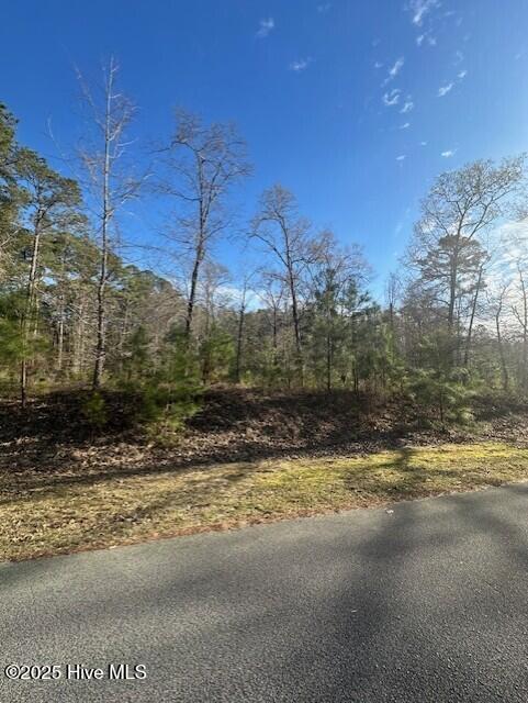 607 Pamlico River Drive Property Photo 7