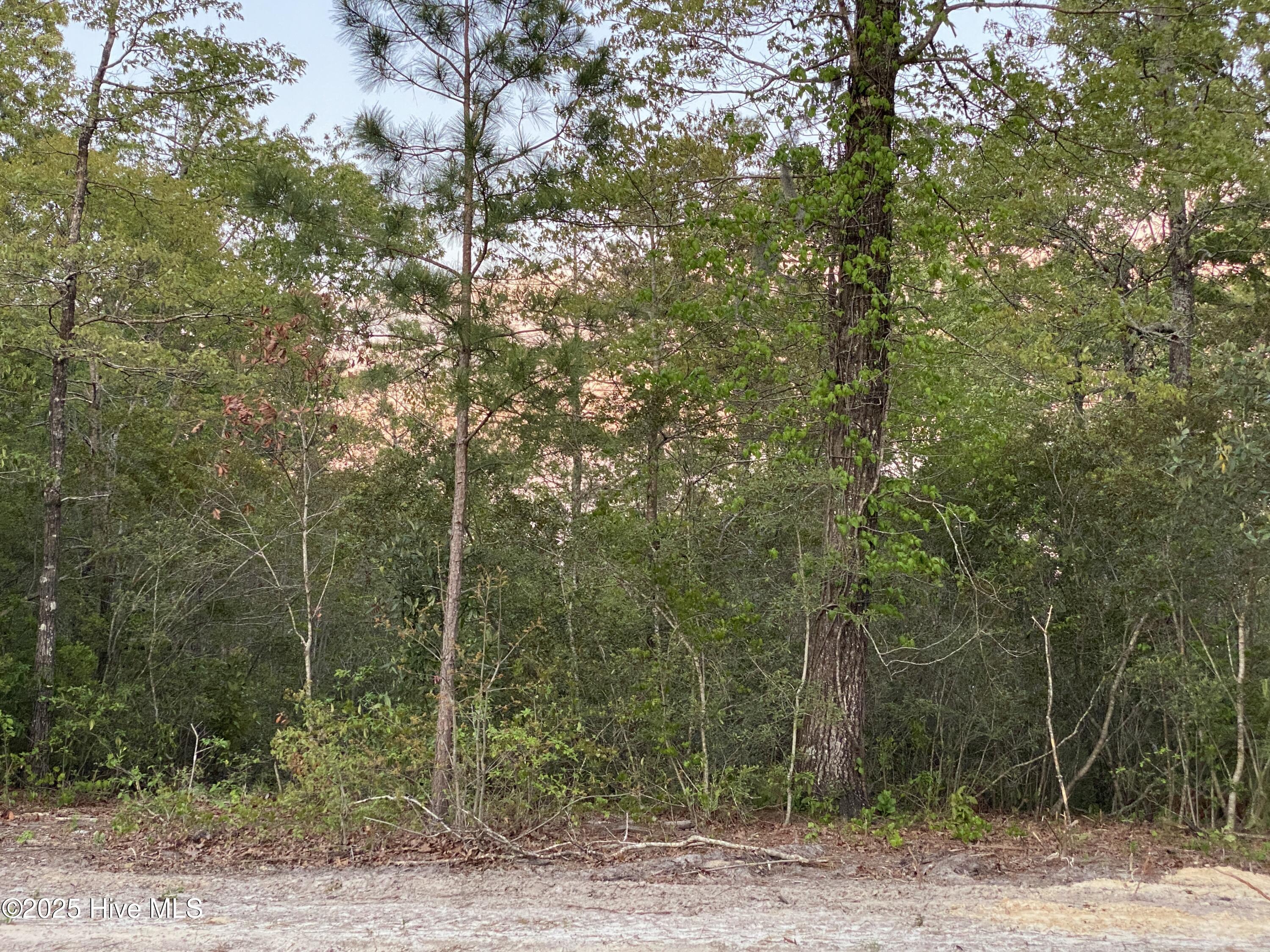Lot 2 Starling Lane Property Photo 1