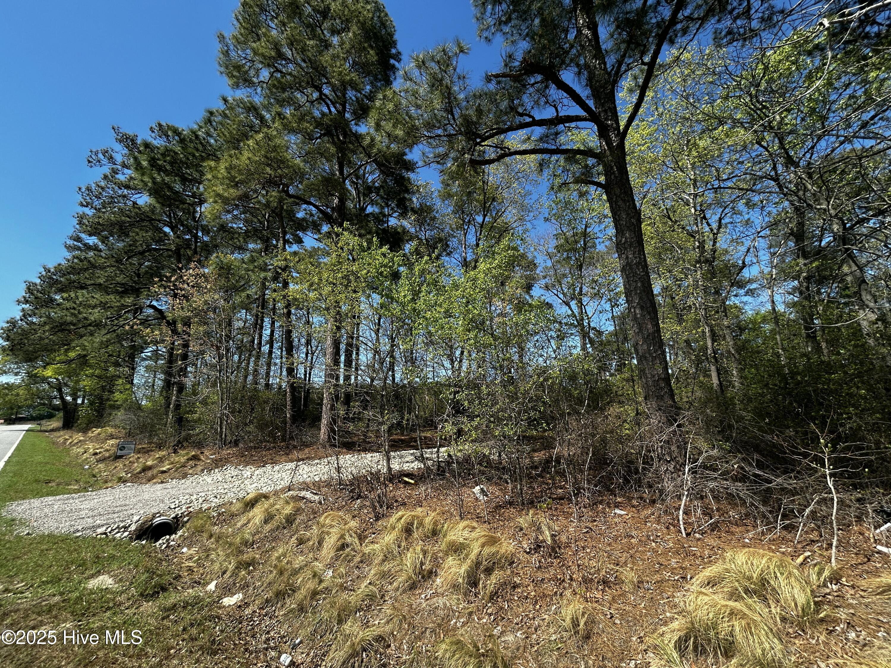 Lot A-1 Strickland Road Property Photo 3
