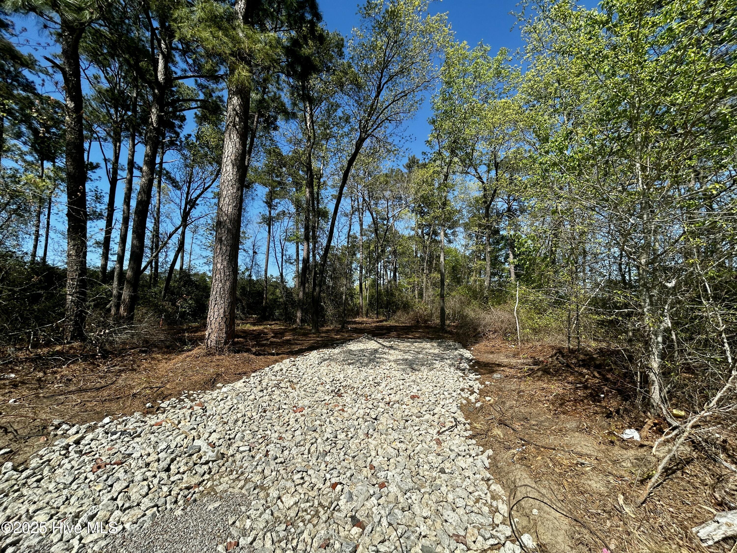 Lot A-1 Strickland Road Property Photo 4