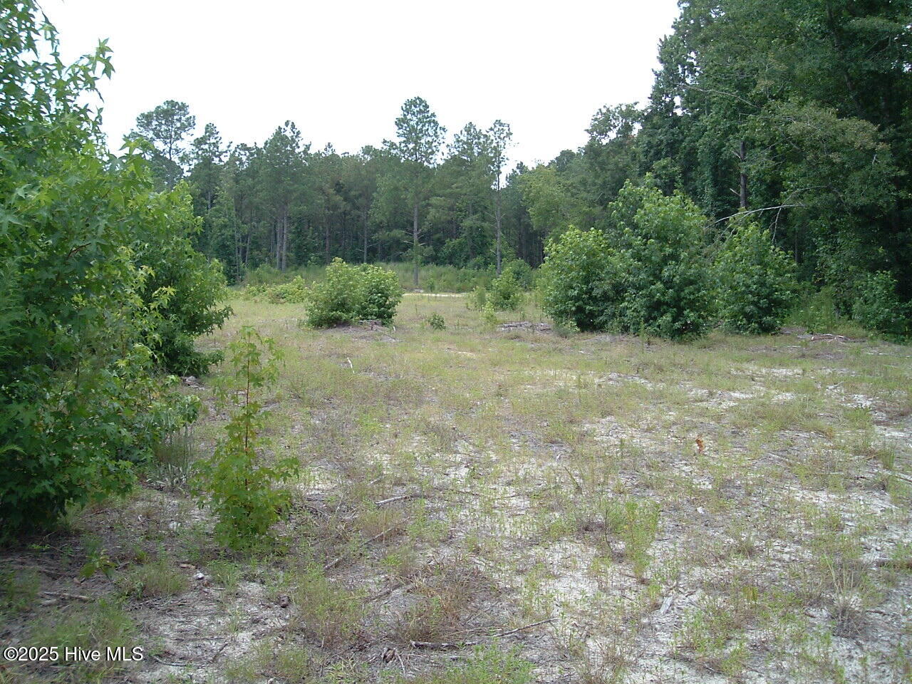 609 Pamlico River Drive Property Photo 3