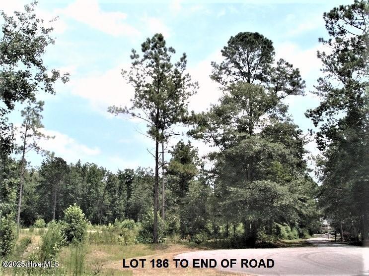 609 Pamlico River Drive Property Photo 4