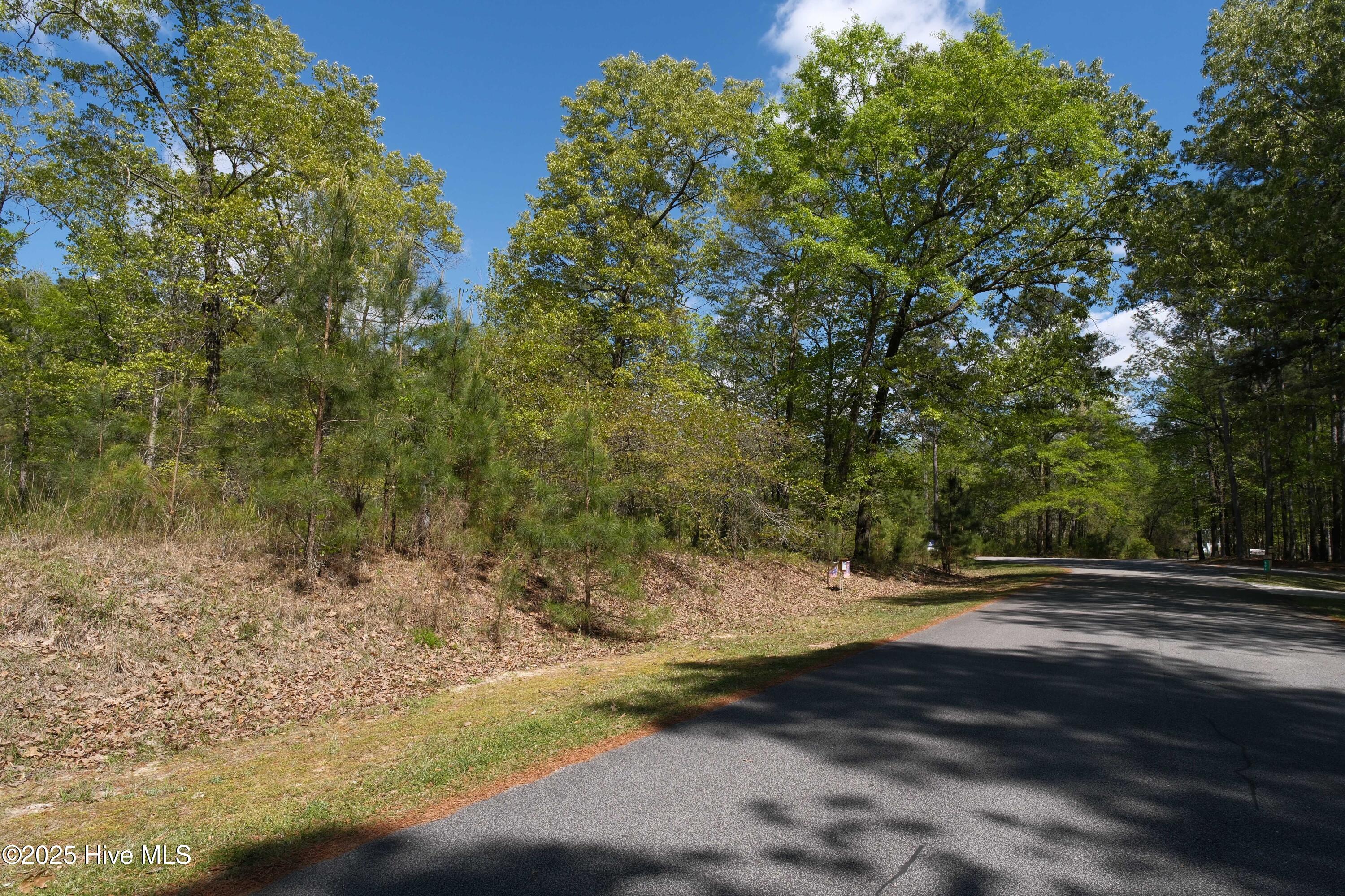609 Pamlico River Drive Property Photo 8
