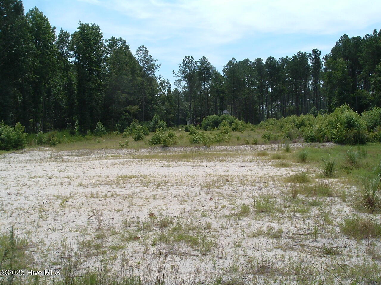 609 Pamlico River Drive Property Photo 11