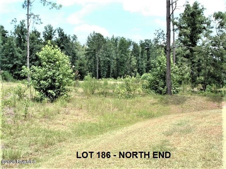 609 Pamlico River Drive Property Photo 13