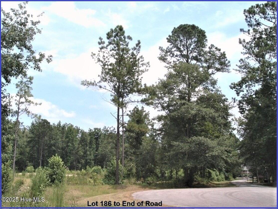 609 Pamlico River Drive Property Photo 13