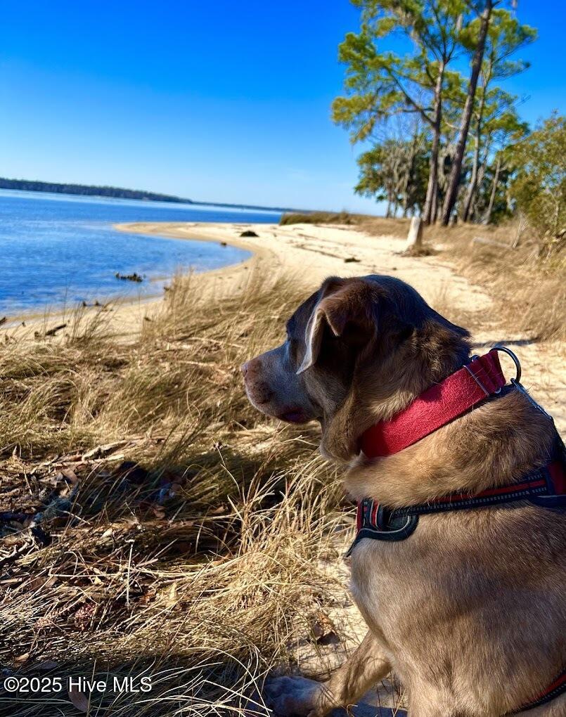 609 Pamlico River Drive Property Photo 29