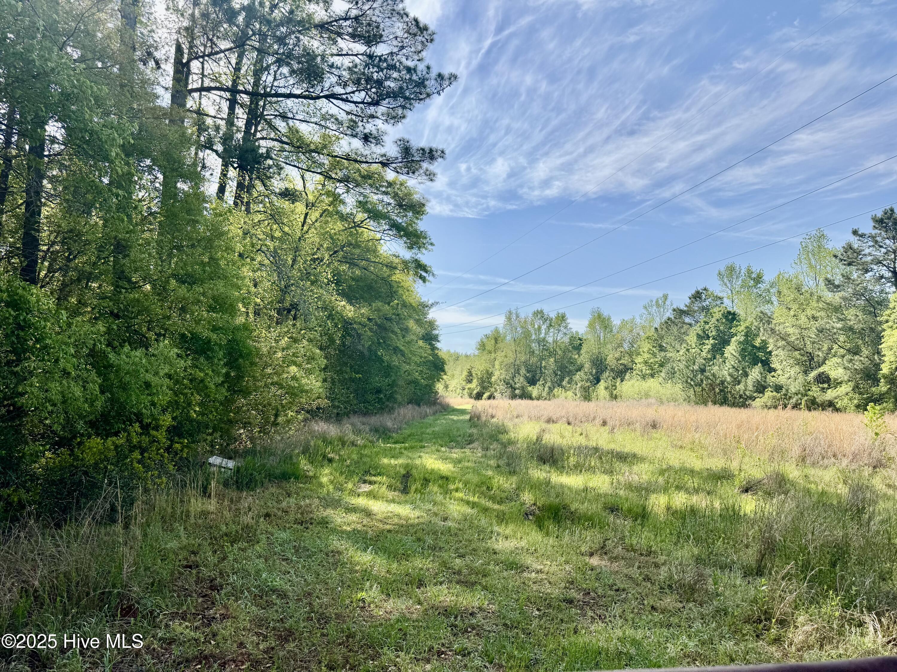 5161 Hinsons Crossroads Property Photo 10