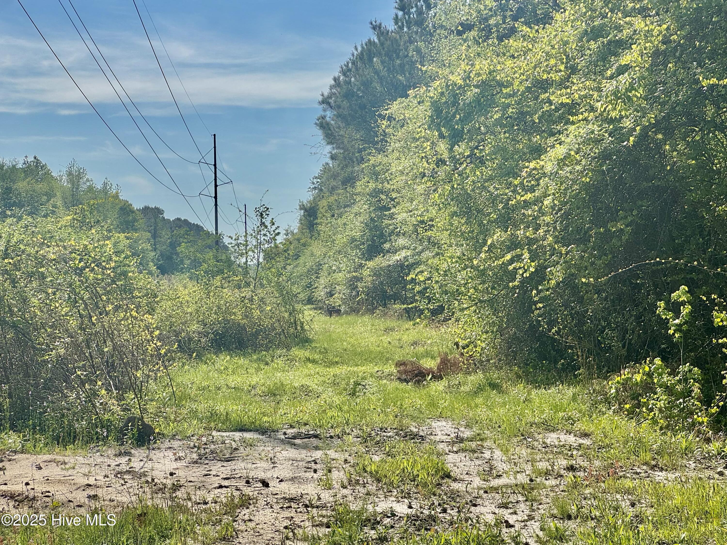 5161 Hinsons Crossroads Property Photo 13