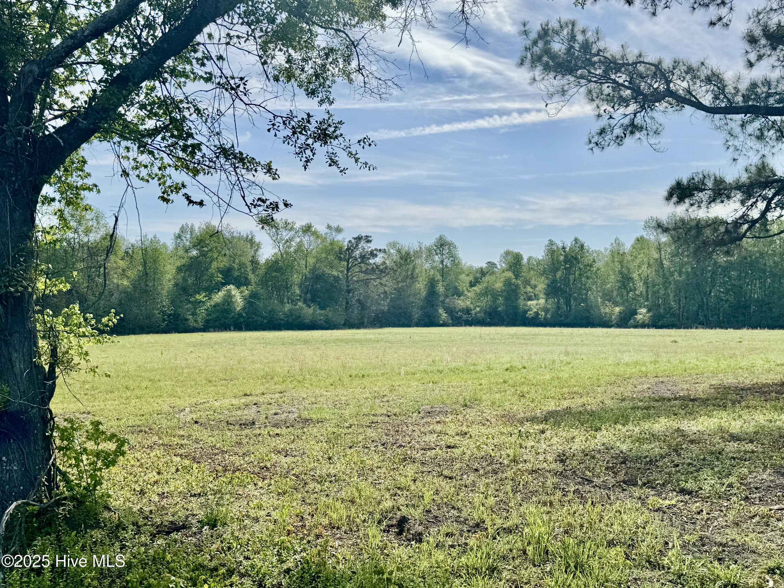 5161 Hinsons Crossroads Property Photo 16