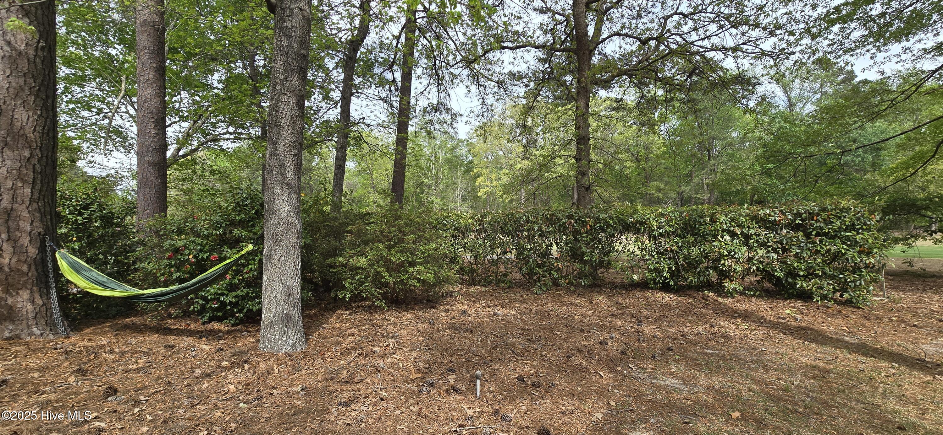 223 Churchill Drive Property Photo 9