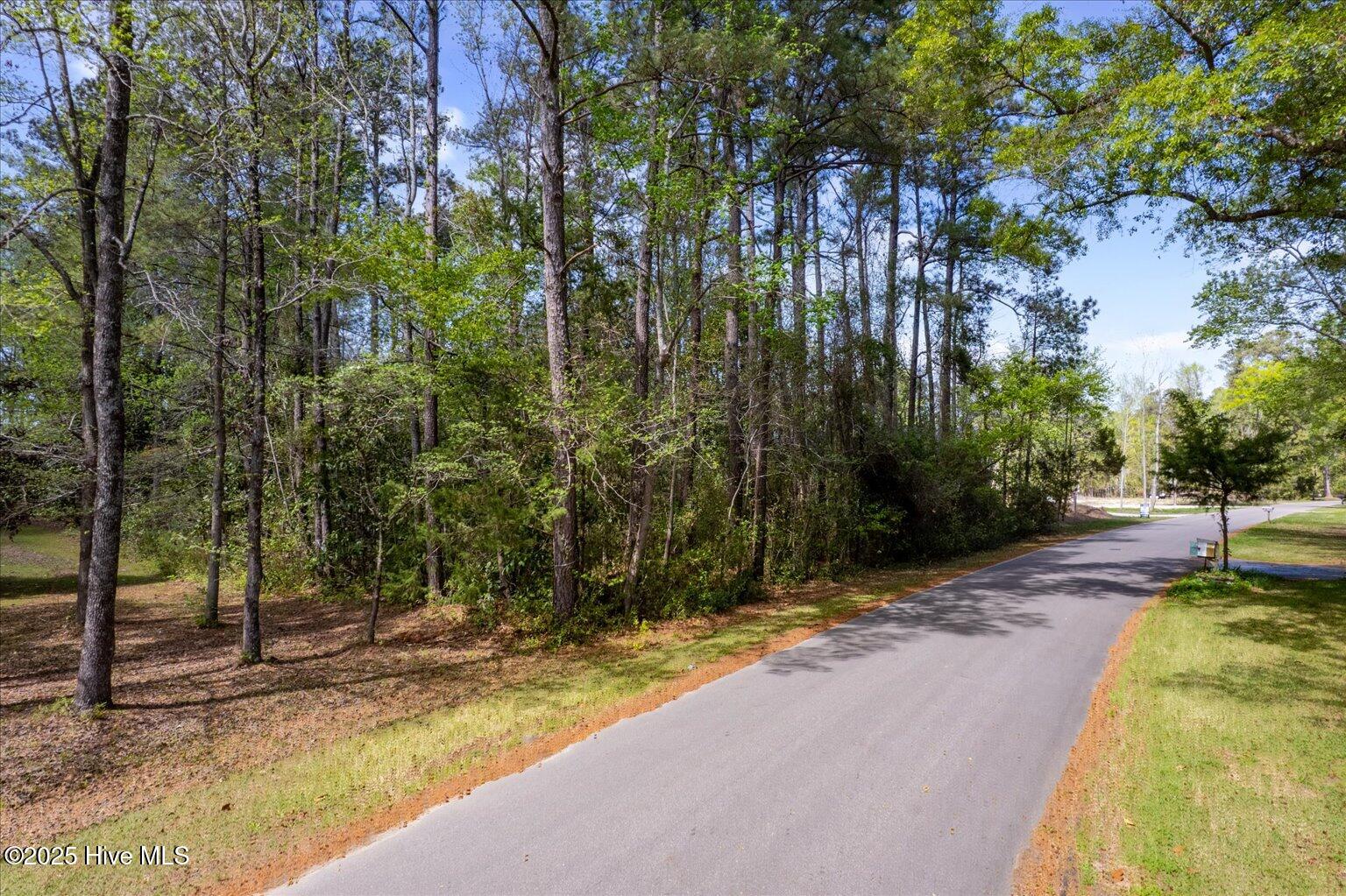117 S Branch Road Property Photo 18