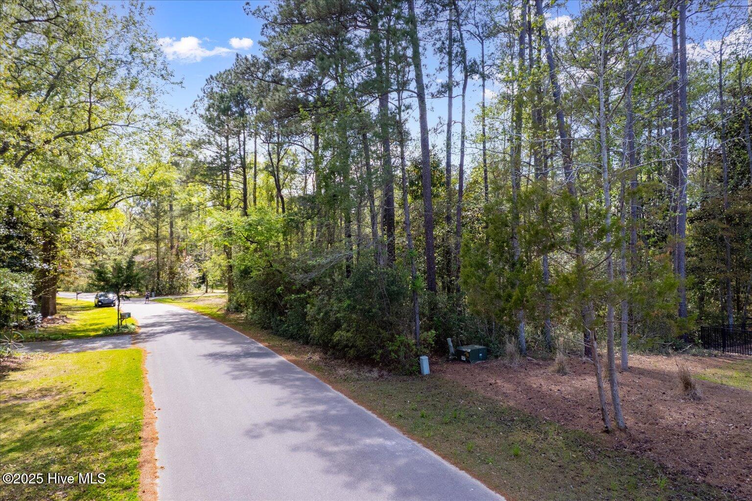 117 S Branch Road Property Photo 19