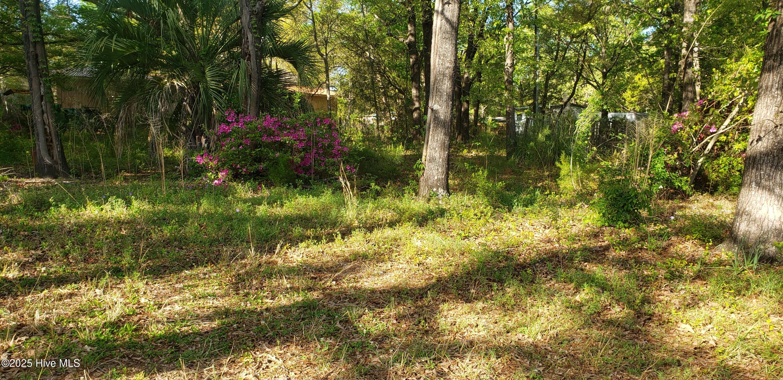 7220 Carolina Beach Road Property Photo