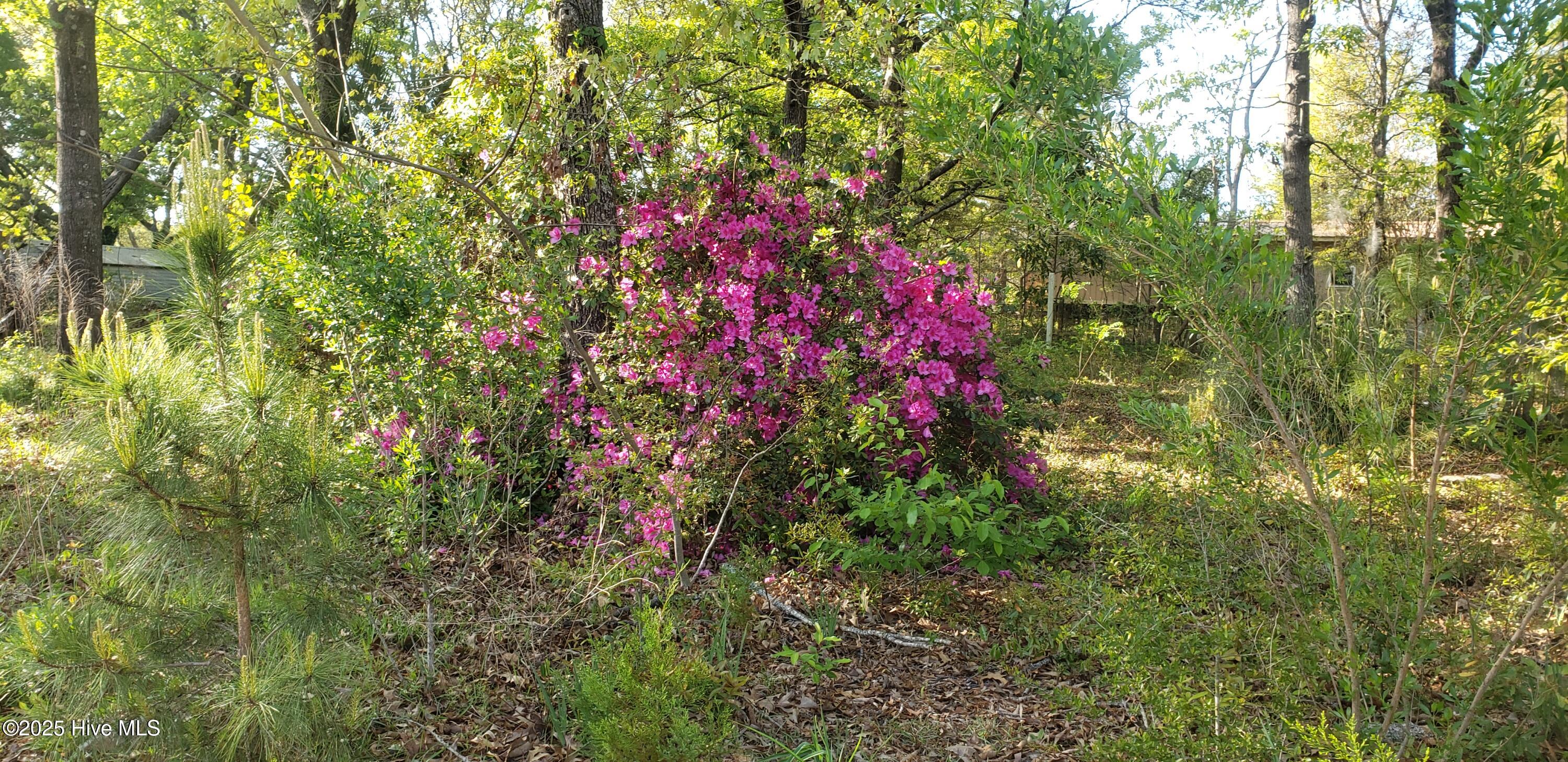 7220 Carolina Beach Road Property Photo 2