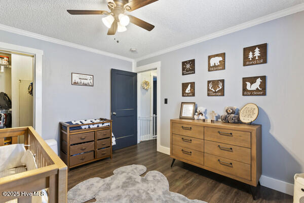 3019 Mt. Misery Road Property Photo 43