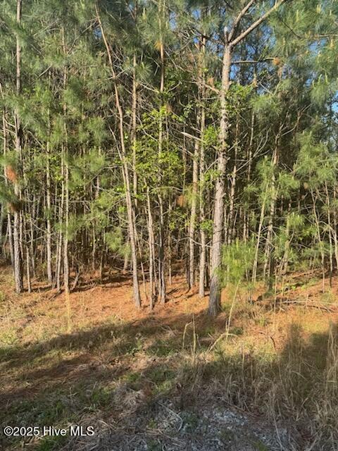 0 Crestview Road Property Photo