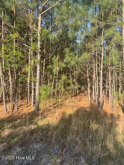 0 Crestview Road Property Photo 2