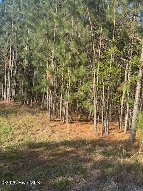 0 Crestview Road Property Photo 3