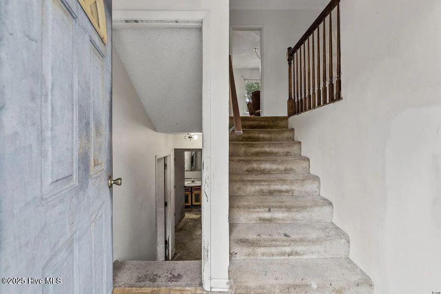 517 Great Oak Circle Property Photo 2