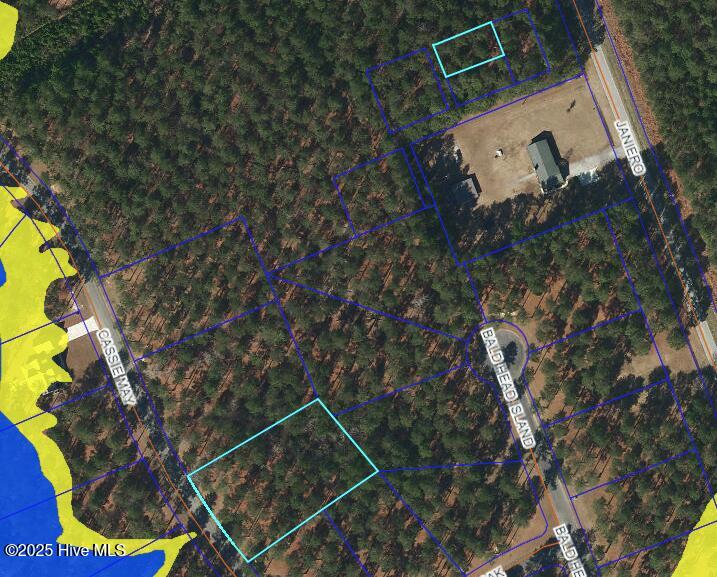 218 Cassie May Boulevard Property Photo 3
