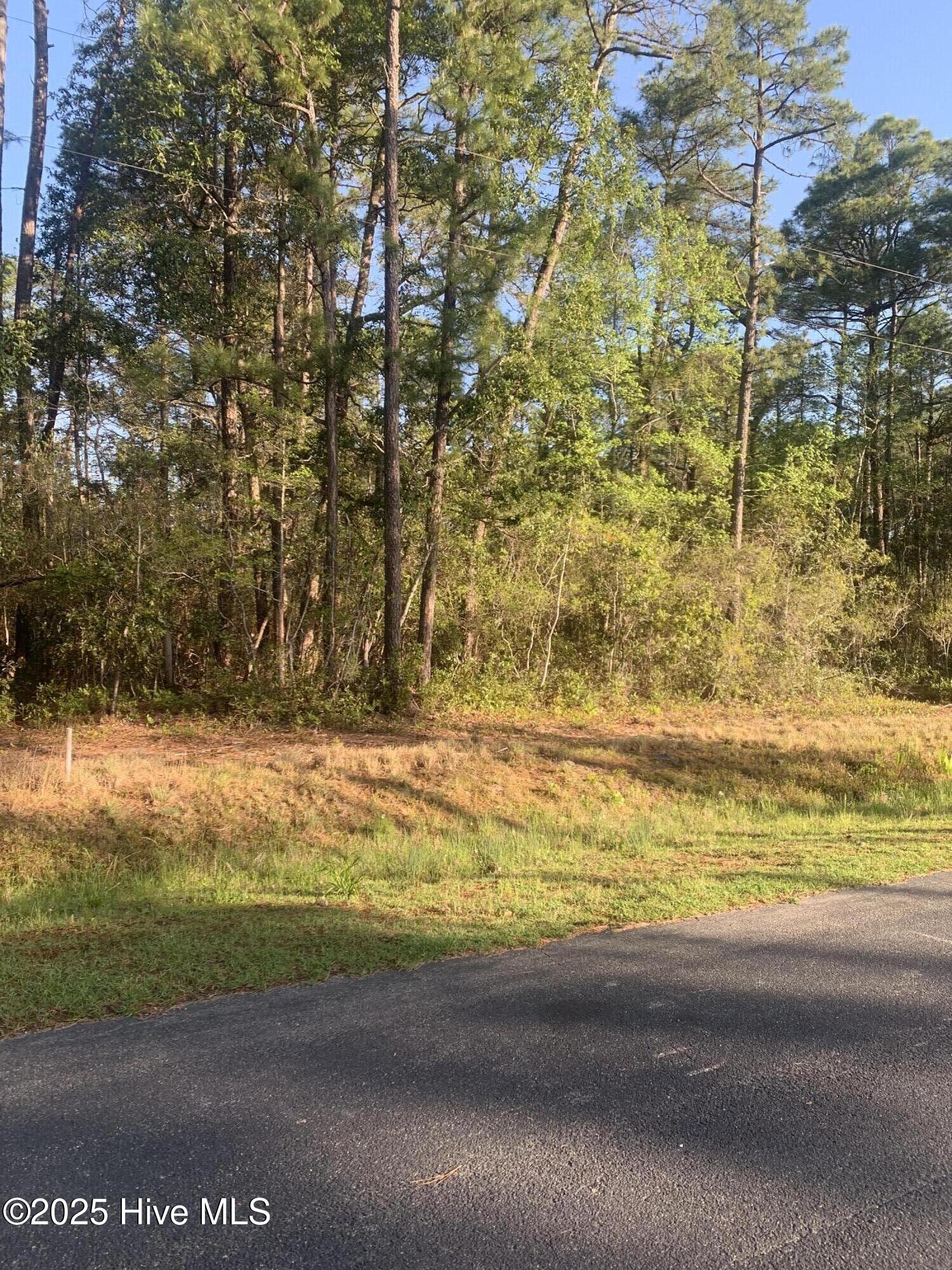 333 Pineknoll Drive Property Photo 4