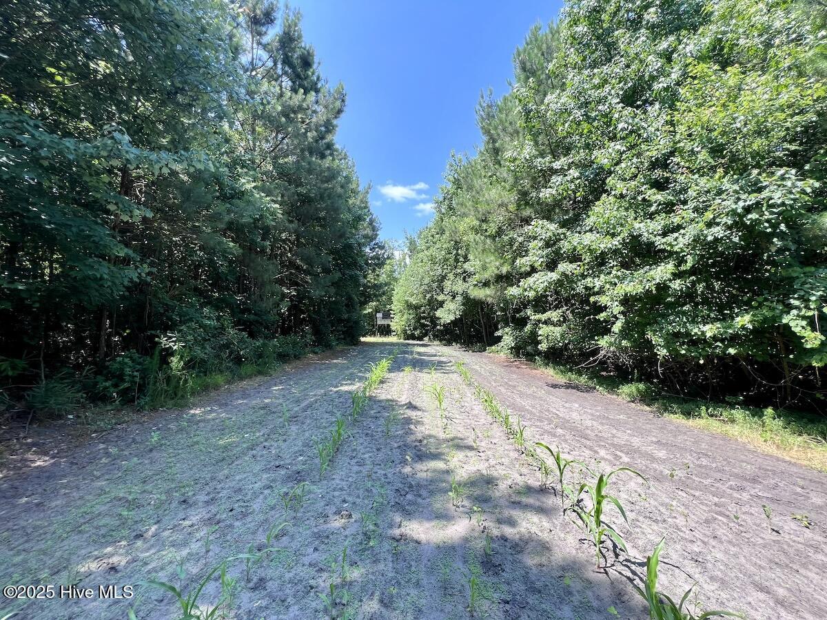 00 Long Ridge Road Property Photo 17