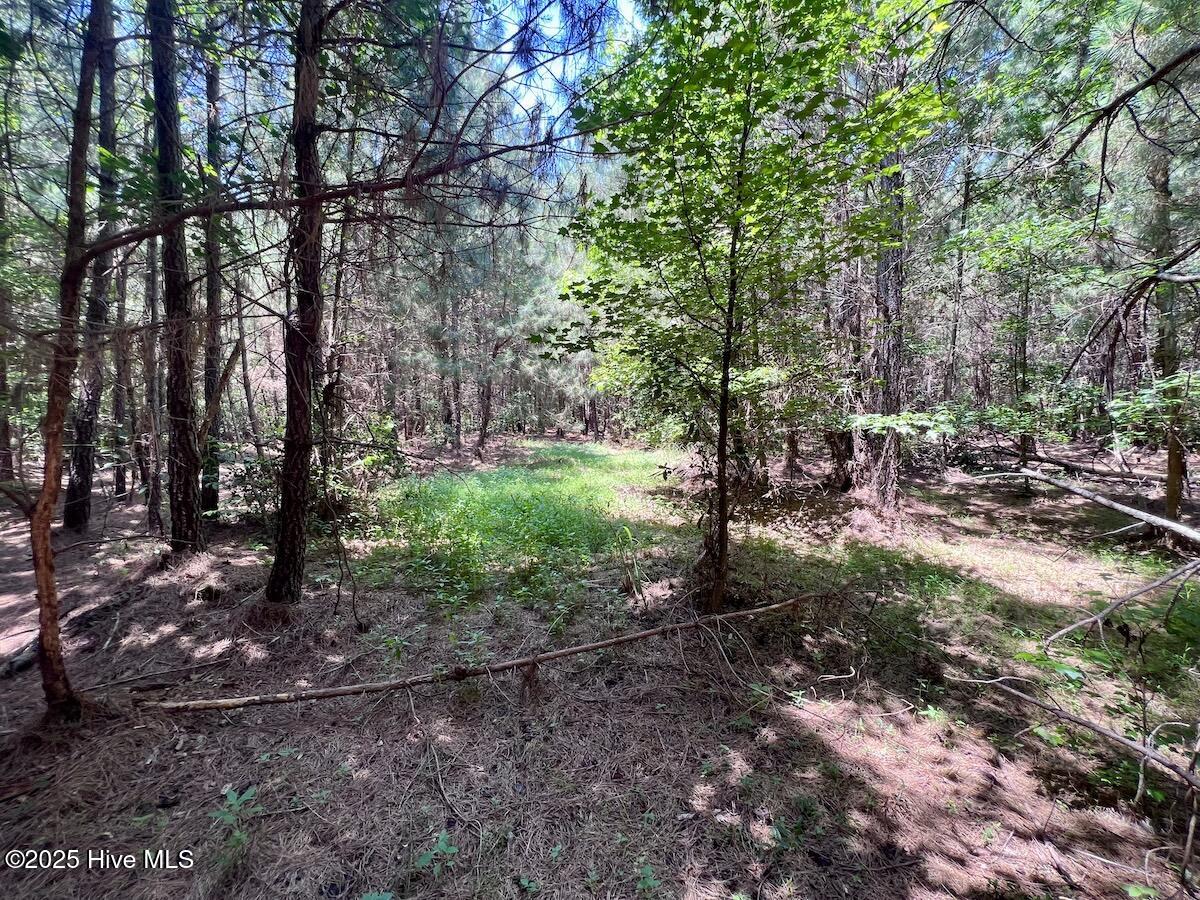 00 Long Ridge Road Property Photo 67