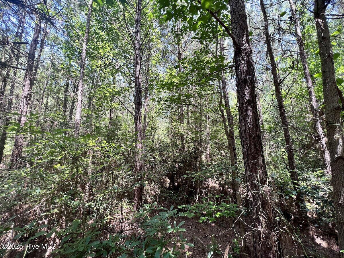00 Long Ridge Road Property Photo 72