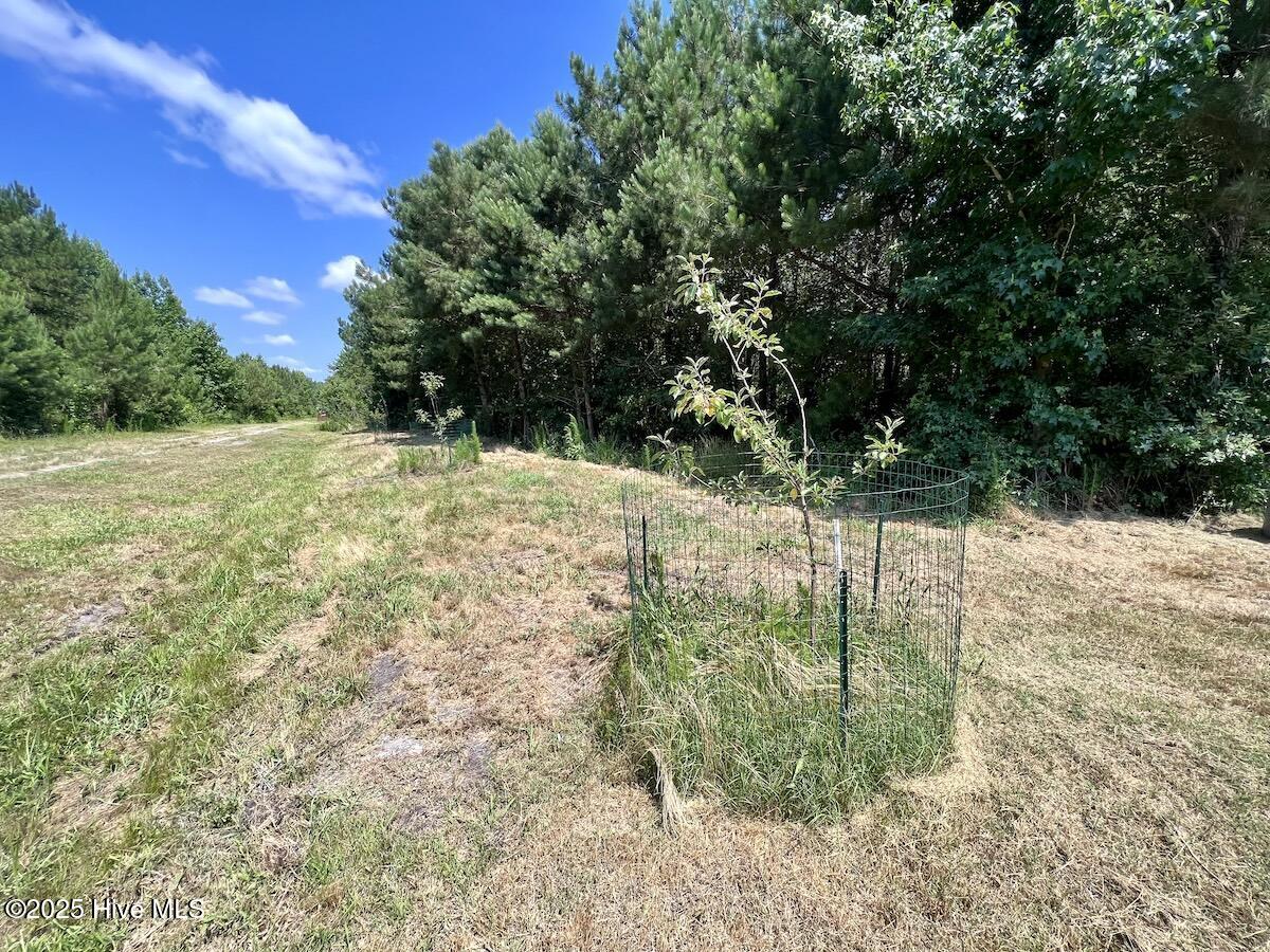 00 Long Ridge Road Property Photo 74